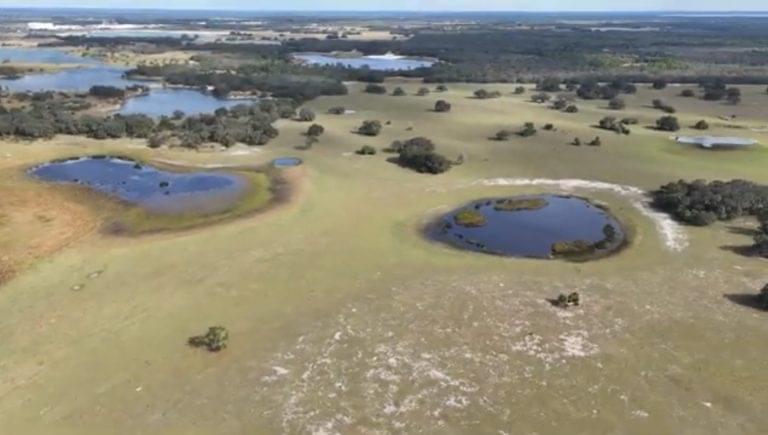 The 649-acre Friedlander Ranch SE Of Lake Wales May Soon Be Protected Through Polk County’s Environmental Lands Program