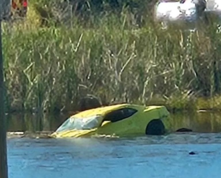 Camaro Drives Straight into Lake in Lake Wales