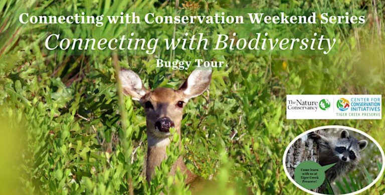 Biodiversity Bingo Buggy Tour at Tiger Creek Preserve March 15