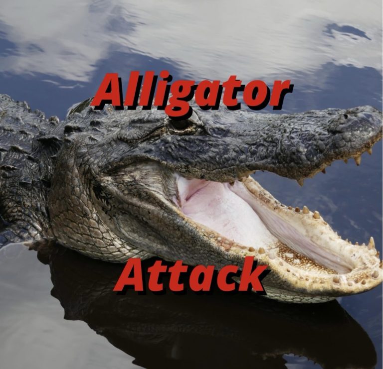 Alligator Attack Reported at Lake Kissimmee State Park