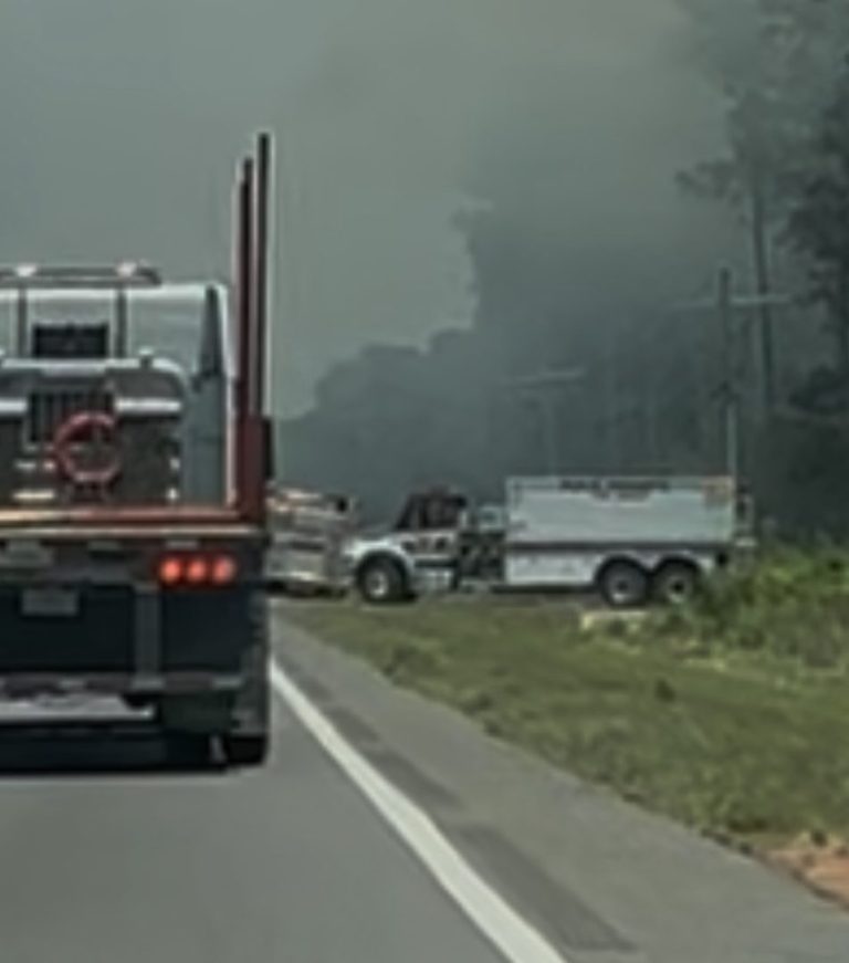 Two Acres Burned in Vegetation Fire off Hwy. 60 E