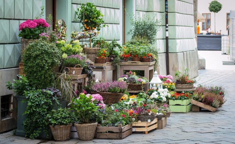 Lake Wales Women’s Club Planning 3rd Annual Plant and Garden Festival Oct. 18 -19
