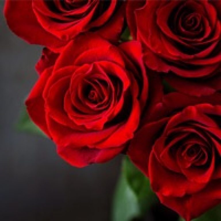 In Loving Memory of Lorraine Marie Culp, 77, of Lake Wales