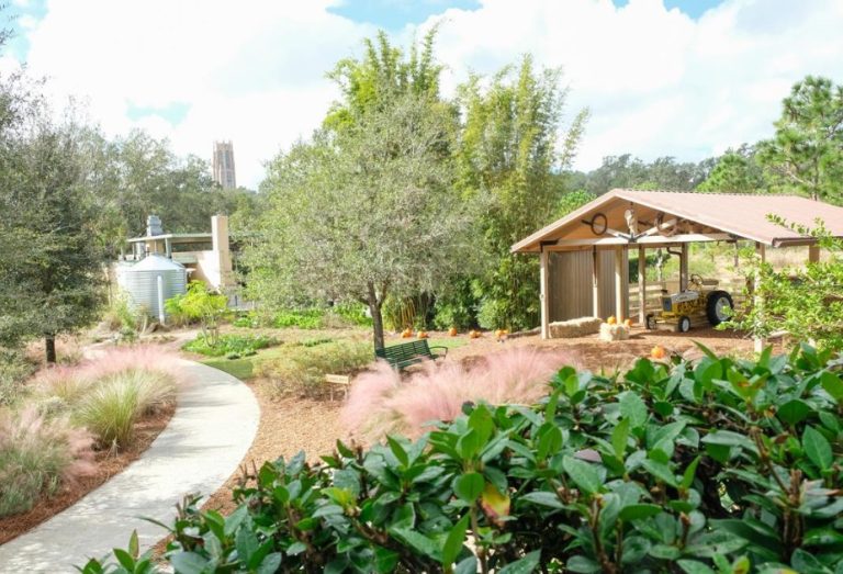 Children’s Craft for Pollinator Week at Bok Tower Gardens June 21