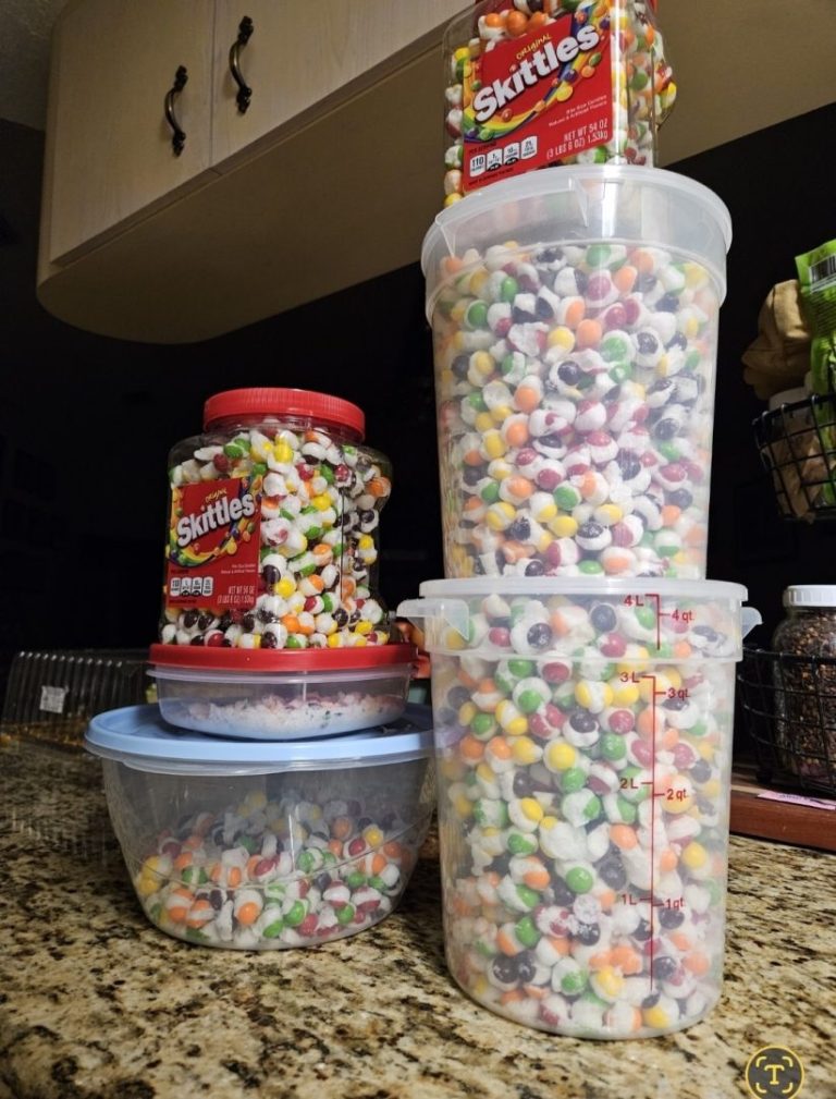 The Evolution of Home Freeze Dryers: a Lake Wales Mom Shares Benefits, Challenges, and Creative Uses