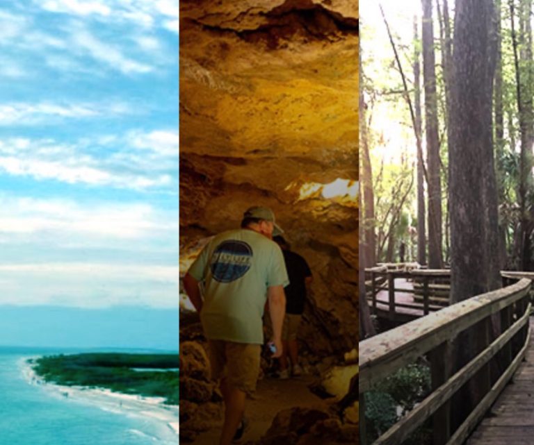 Florida State Parks Foundation Launches New Membership Program