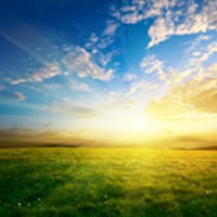 img_0835jpg - Lake Wales Daily News