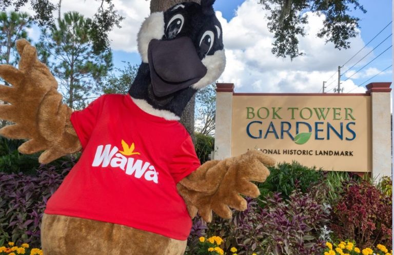 Last Chance for Wawa Summer Fun Days at Bok Tower Gardens