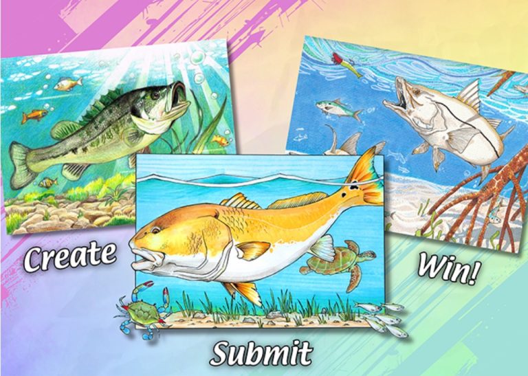 Cast your Imagination : Florida Fish Art Contest Now Open