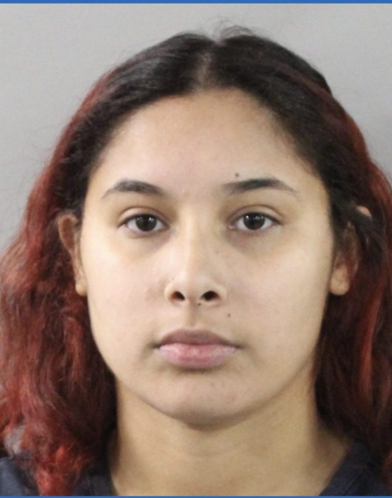 Frostproof Woman Arrested After Two Dogs Die From Heatstroke and Neglect