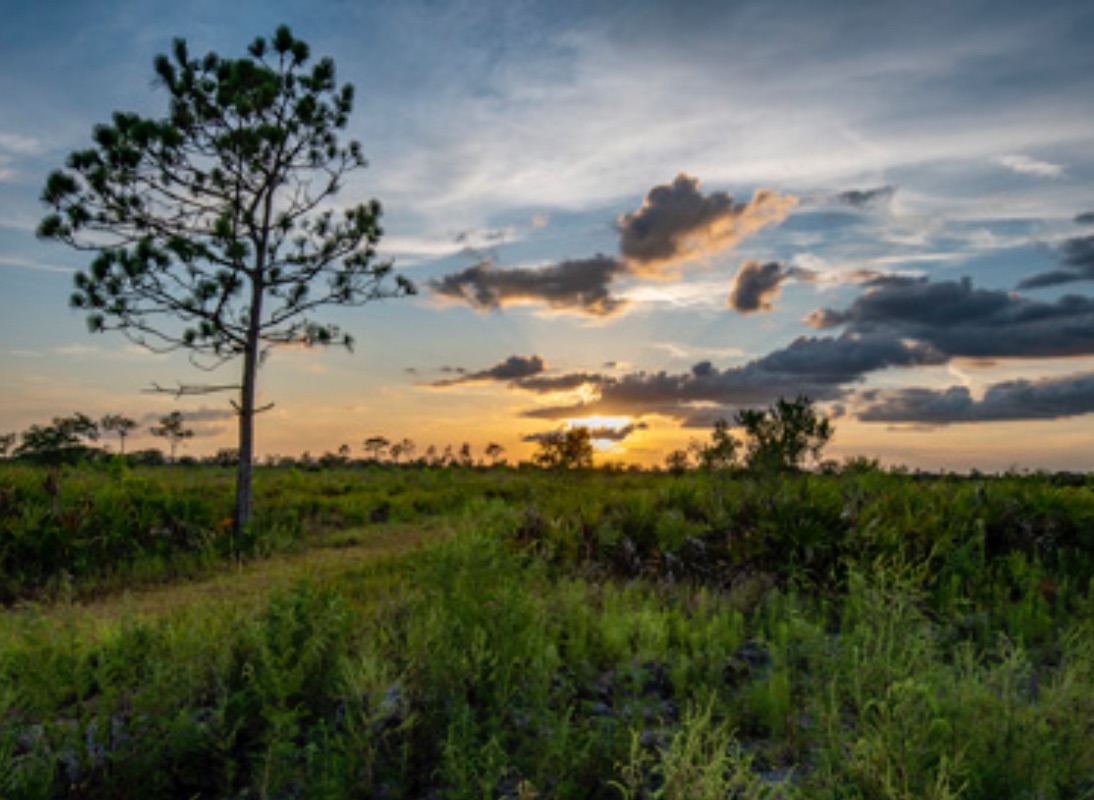 img_2652jpg - Lake Wales Daily News