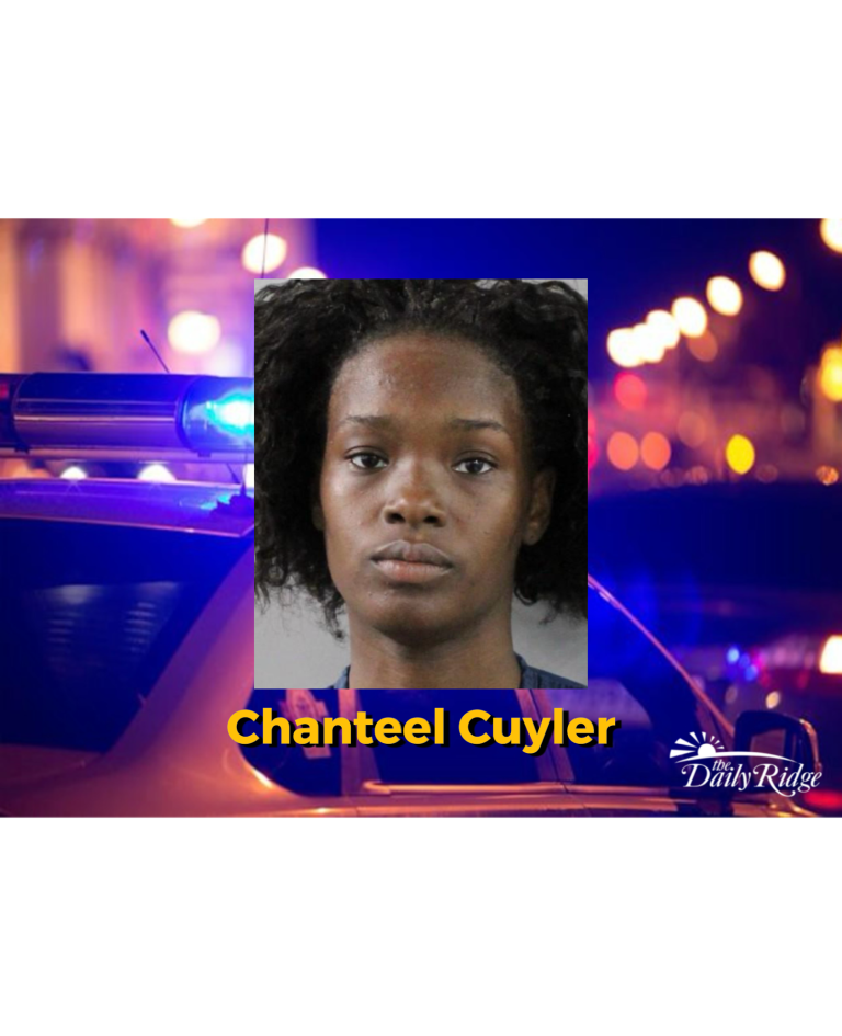 Woman Arrested After She Allegedly Battered A School Guardian at Janie Howard Wilson Elementary