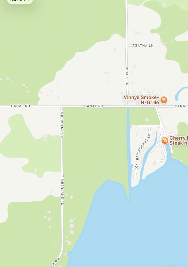 Driver Dies After Corvette Fails to Stop, Plunges Into Water-Filled Area in Lake Wales