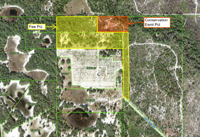 Polk County Acquires 26 Acre Lake Wales Property for $415K for Environmental Protection