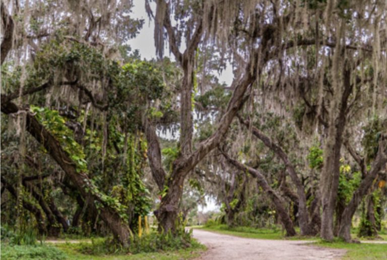 Coleman Landing at Shady Oaks Recreation Area