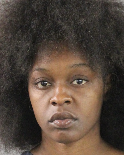 Lake Wales Woman Accused Of Crashing Into Fire Hydrant, Fighting Officer
